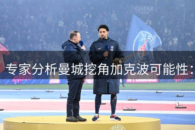 专家分析曼城挖角加克波可能性：除非给出难以拒绝的报价